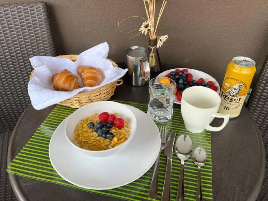 Luxury Apartment In Prague And Free Parking